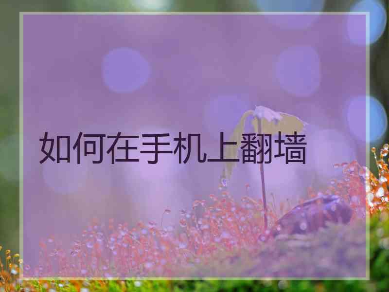 如何在手机上翻墙