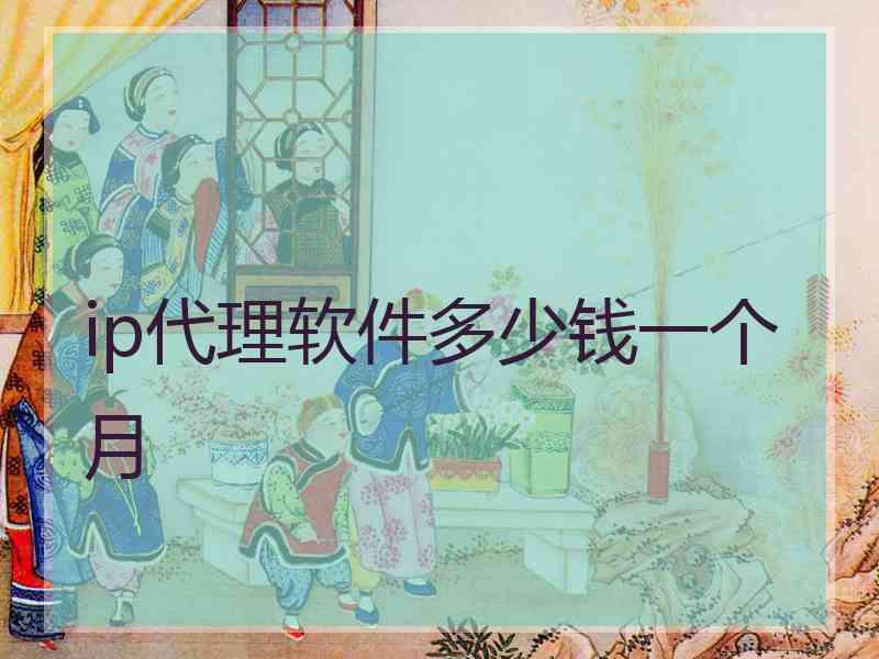 ip代理软件多少钱一个月