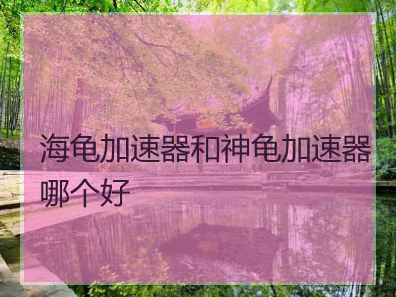 海龟加速器和神龟加速器哪个好