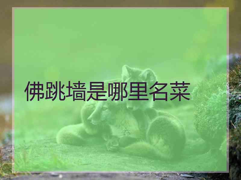 佛跳墙是哪里名菜