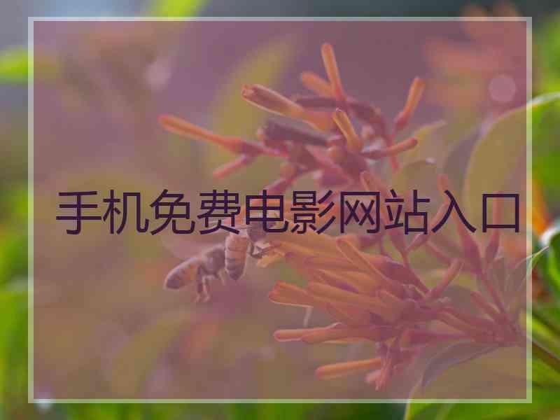 手机免费电影网站入口