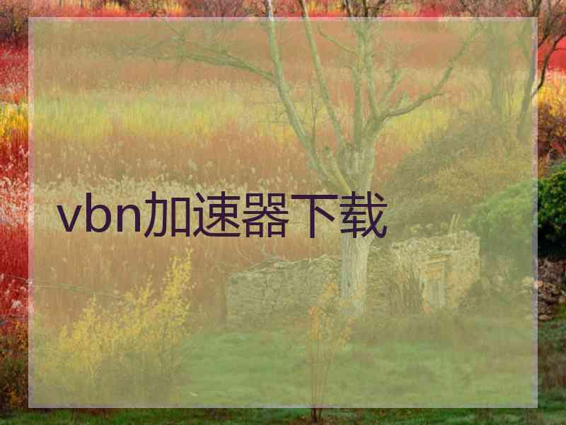 vbn加速器下载