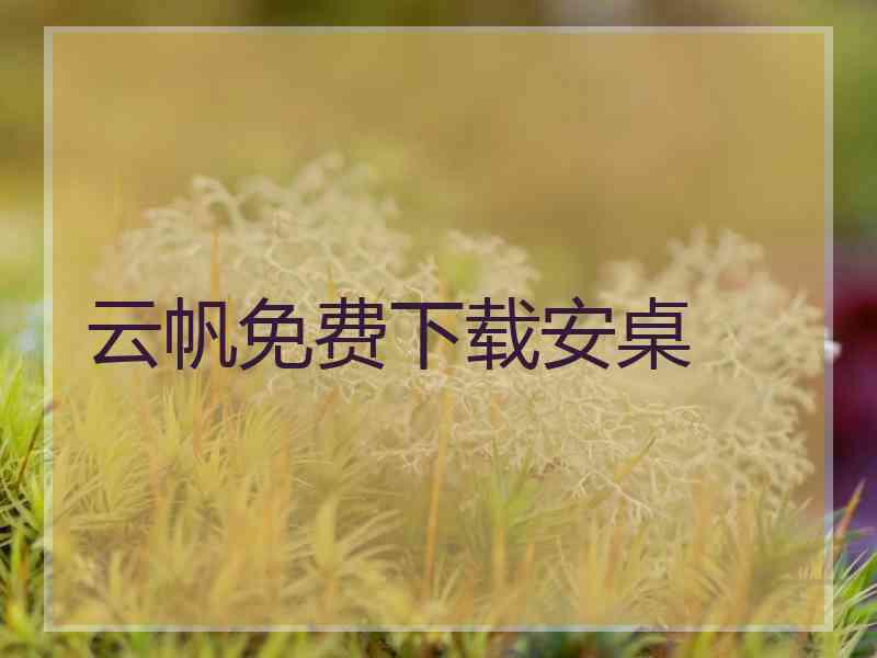 云帆免费下载安桌