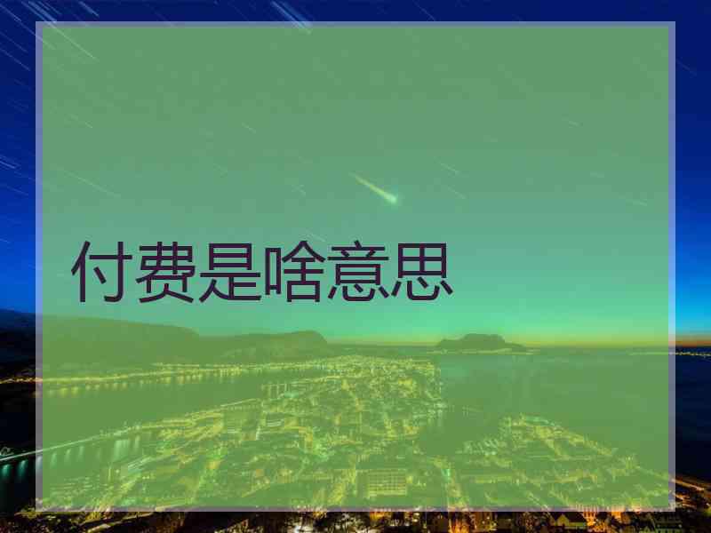 付费是啥意思