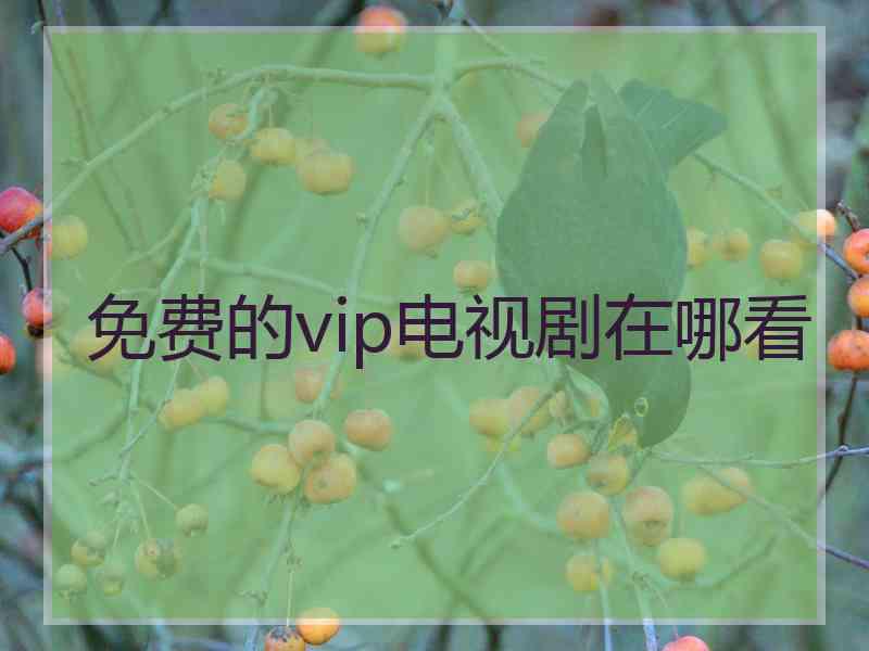 免费的vip电视剧在哪看