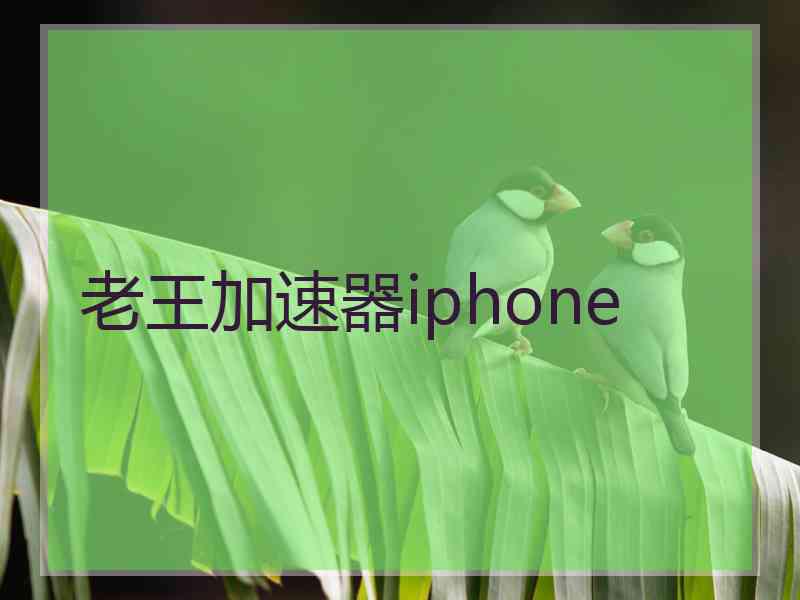 老王加速器iphone
