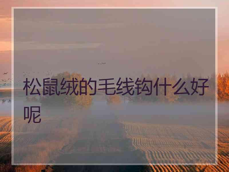 松鼠绒的毛线钩什么好呢
