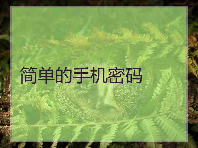 简单的手机密码