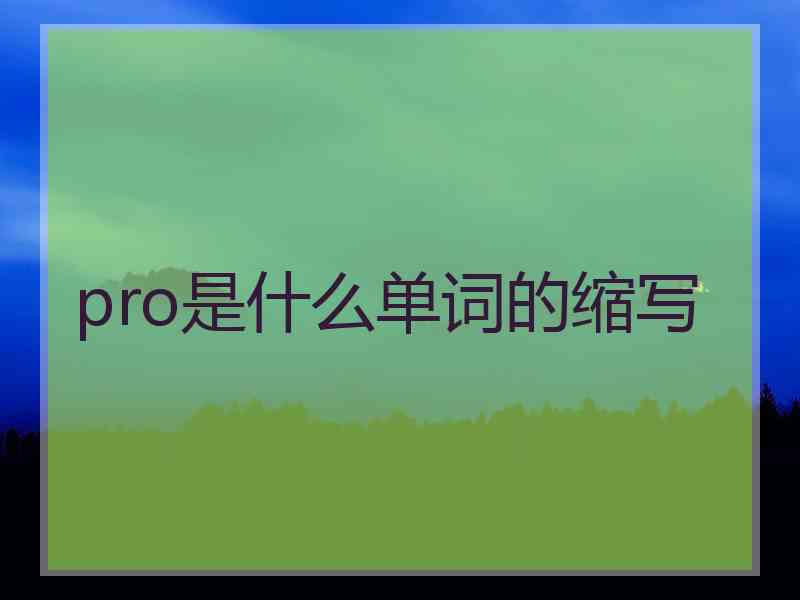 pro是什么单词的缩写