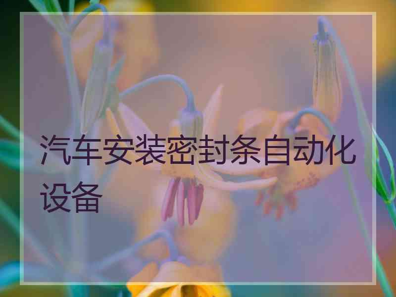 汽车安装密封条自动化设备