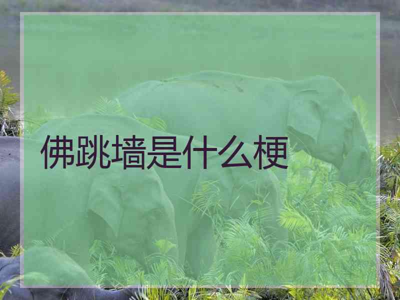 佛跳墙是什么梗