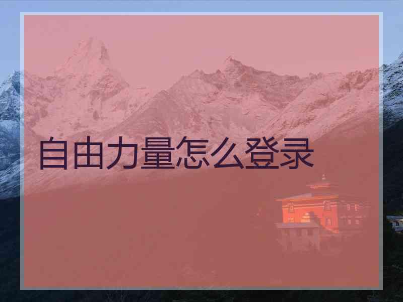 自由力量怎么登录