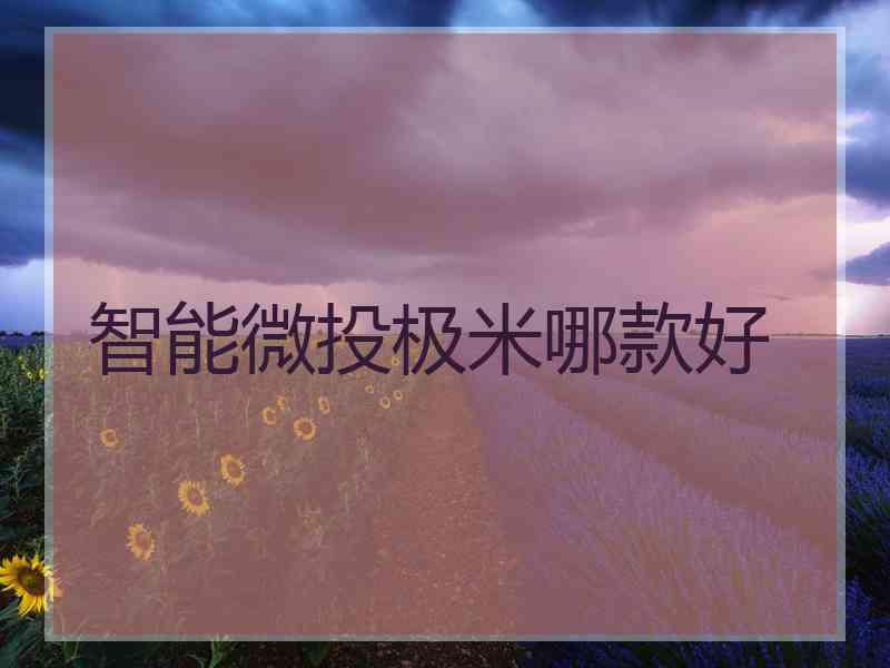 智能微投极米哪款好