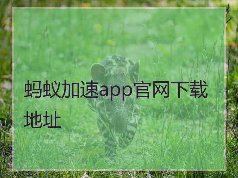 蚂蚁加速app官网下载地址