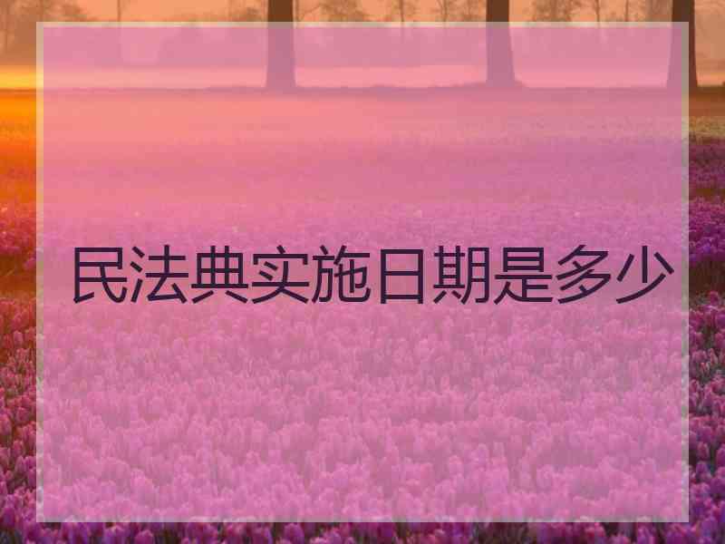 民法典实施日期是多少