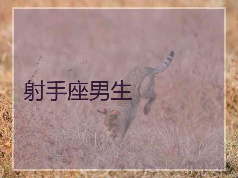 射手座男生