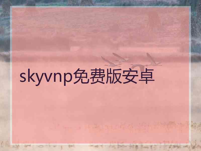 skyvnp免费版安卓