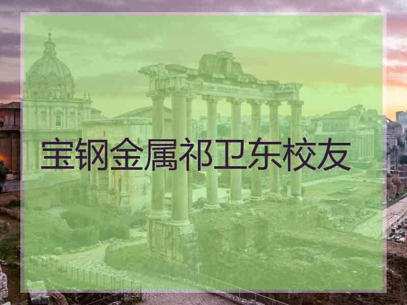 宝钢金属祁卫东校友
