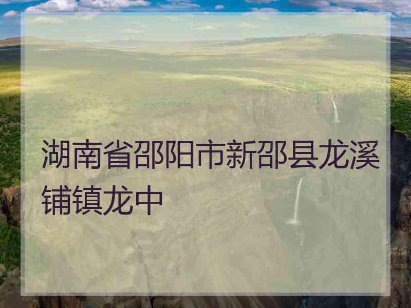湖南省邵阳市新邵县龙溪铺镇龙中