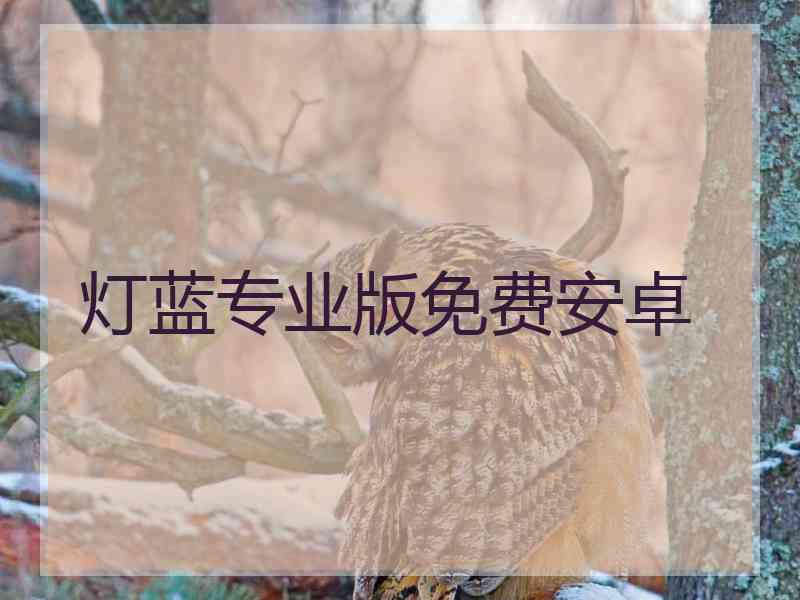 灯蓝专业版免费安卓