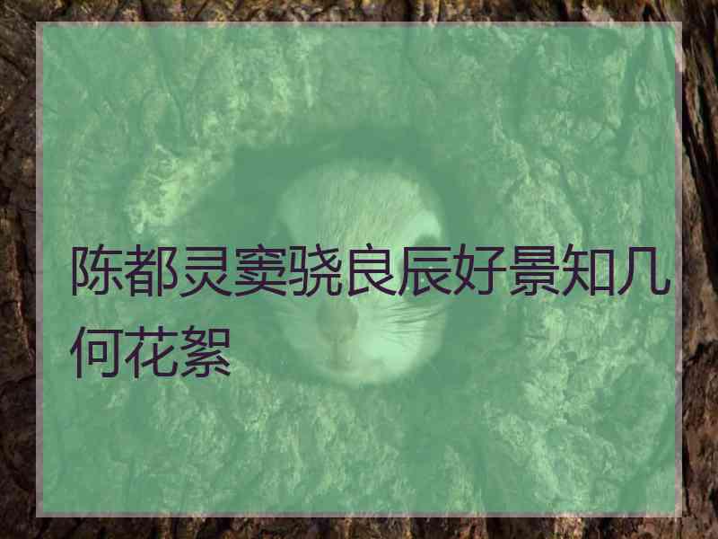 陈都灵窦骁良辰好景知几何花絮