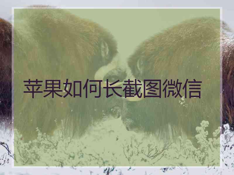 苹果如何长截图微信