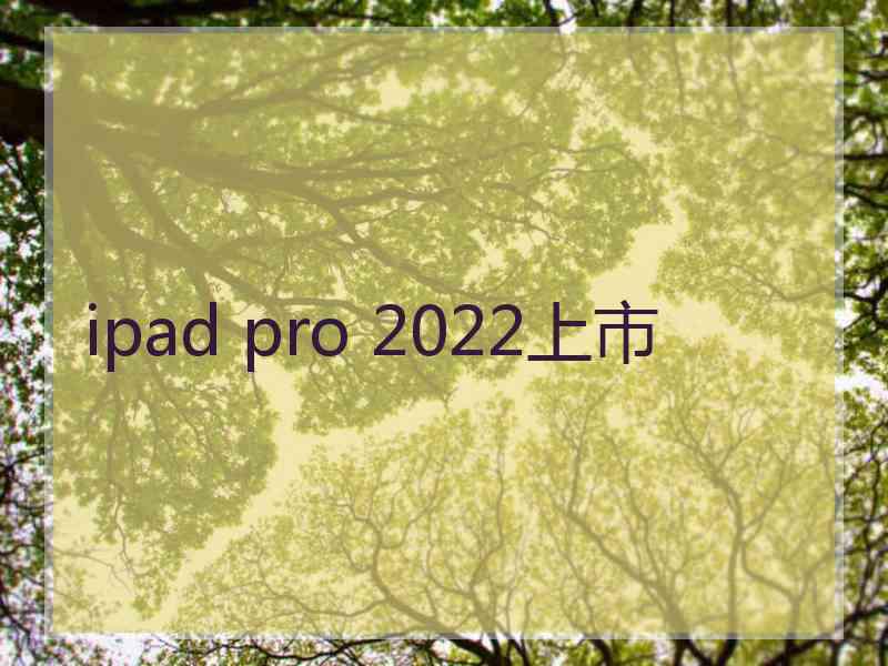 ipad pro 2022上市