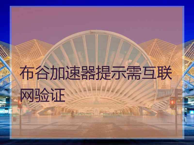 布谷加速器提示需互联网验证
