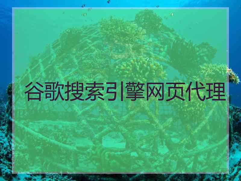 谷歌搜索引擎网页代理