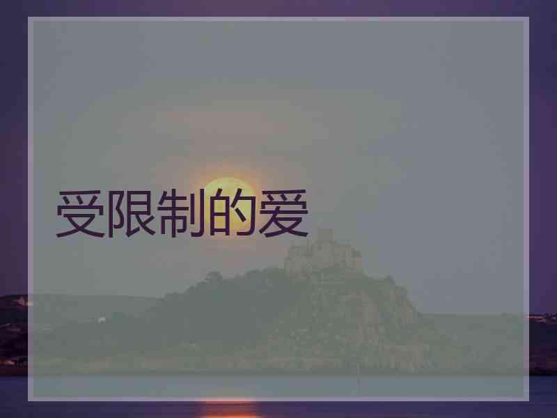 受限制的爱