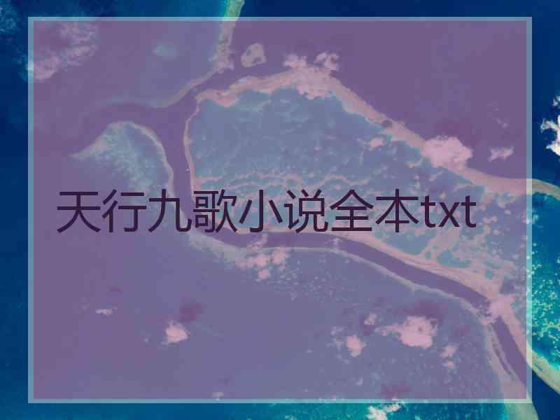 天行九歌小说全本txt