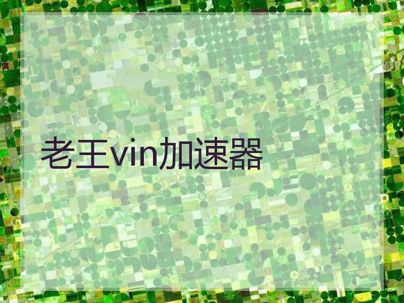 老王vin加速器