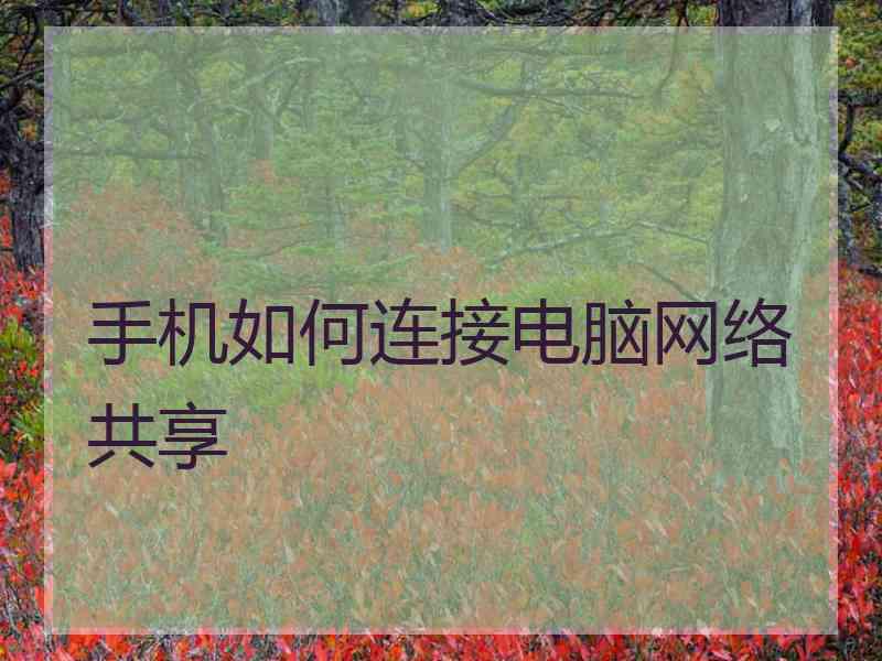 手机如何连接电脑网络共享