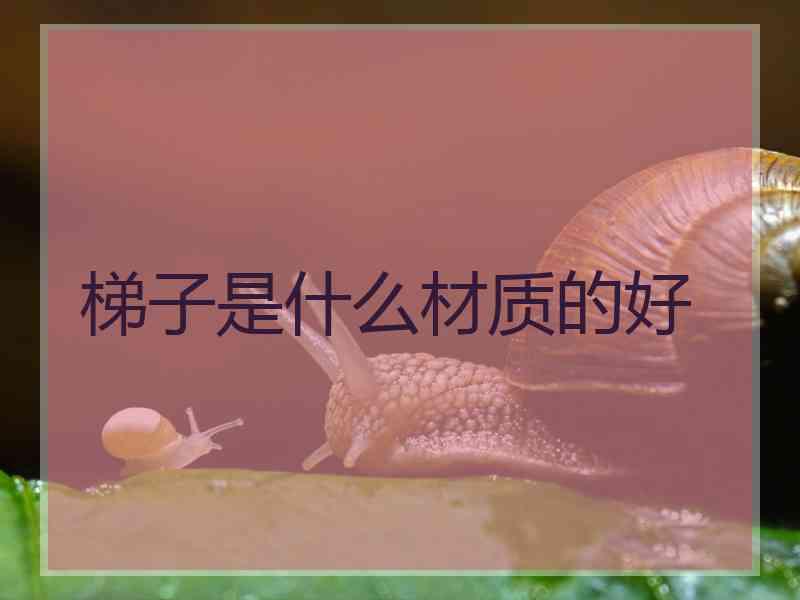 梯子是什么材质的好