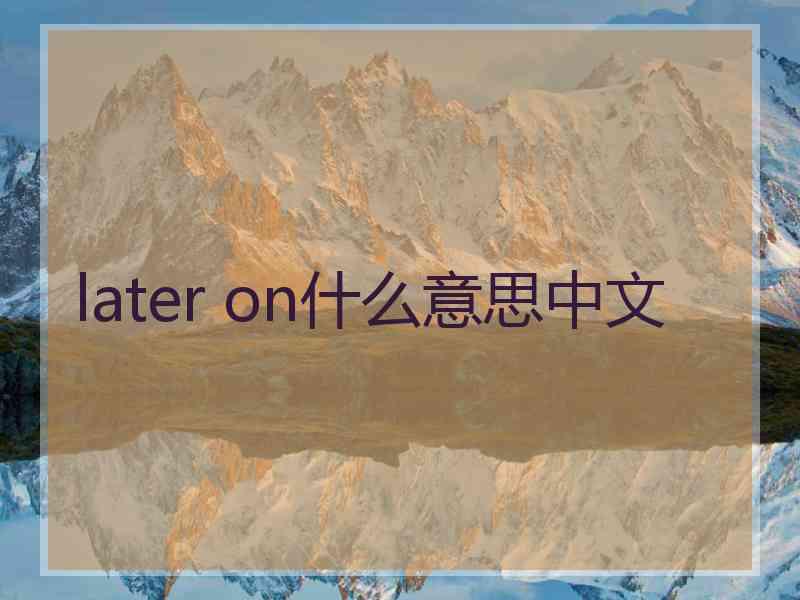 later on什么意思中文