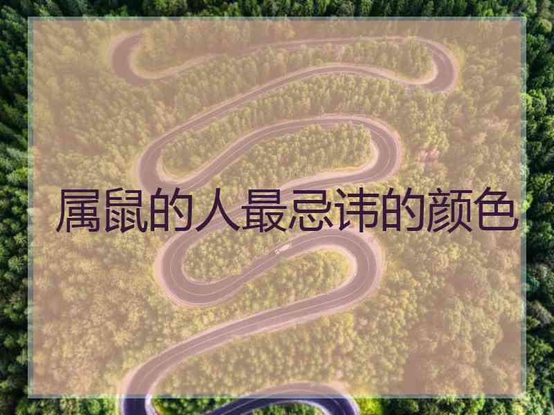 属鼠的人最忌讳的颜色