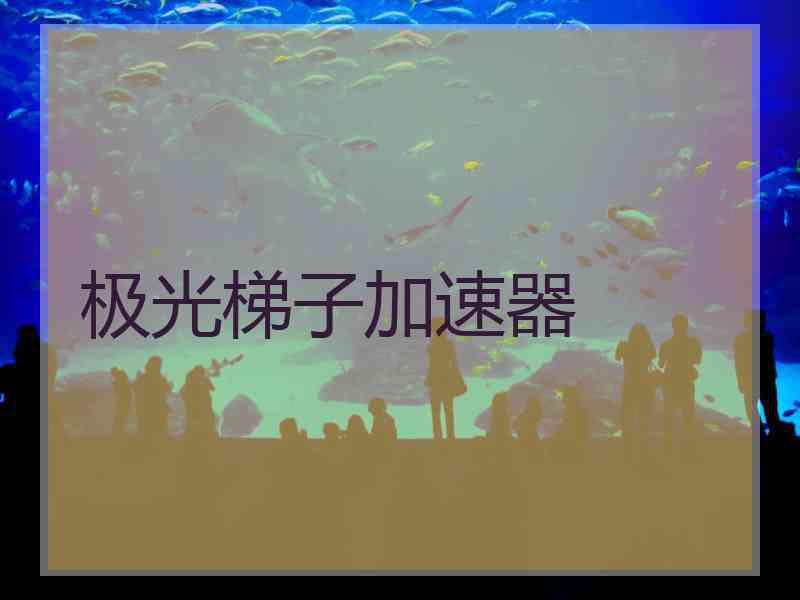 极光梯子加速器
