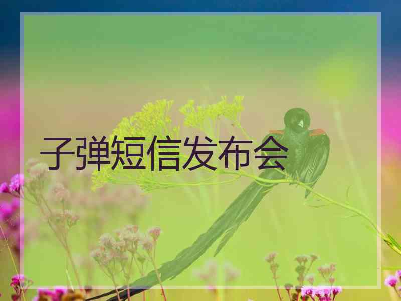 子弹短信发布会