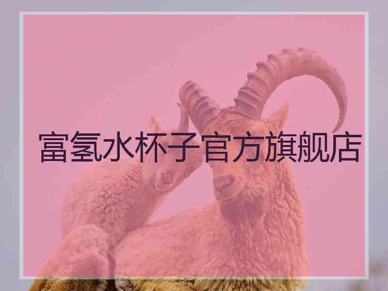 富氢水杯子官方旗舰店