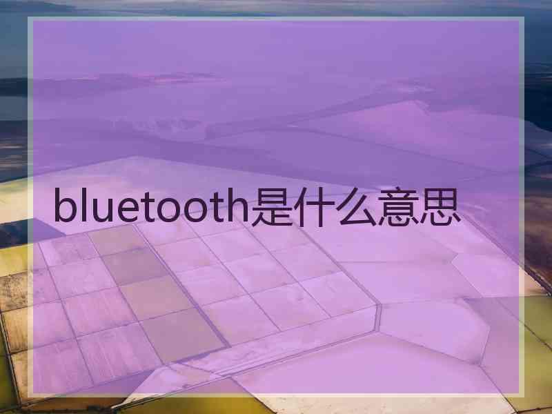 bluetooth是什么意思