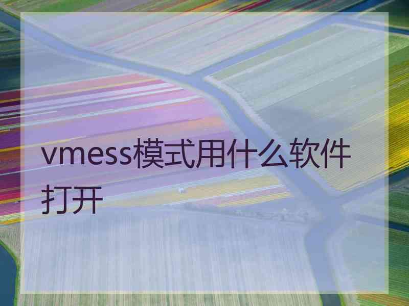 vmess模式用什么软件打开