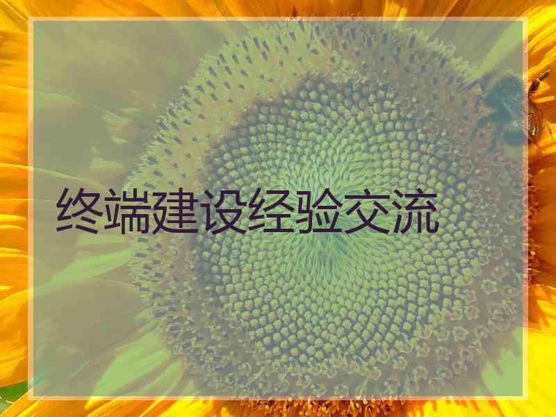 终端建设经验交流