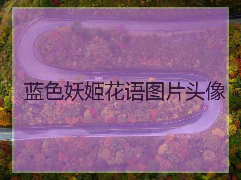 蓝色妖姬花语图片头像