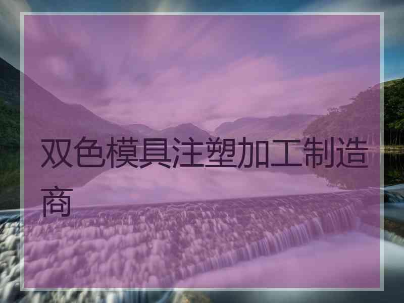 双色模具注塑加工制造商