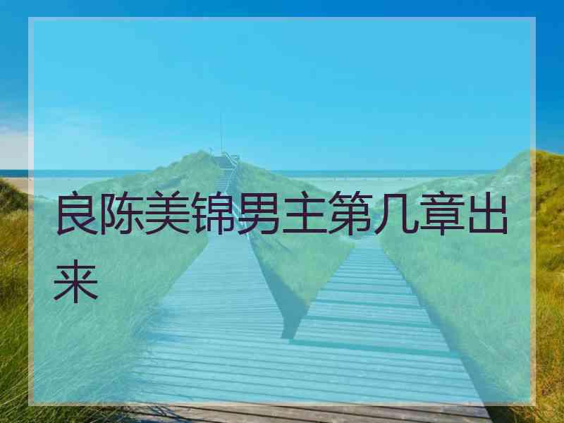 良陈美锦男主第几章出来