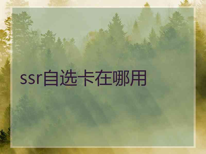 ssr自选卡在哪用