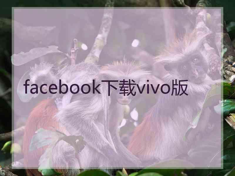 facebook下载vivo版