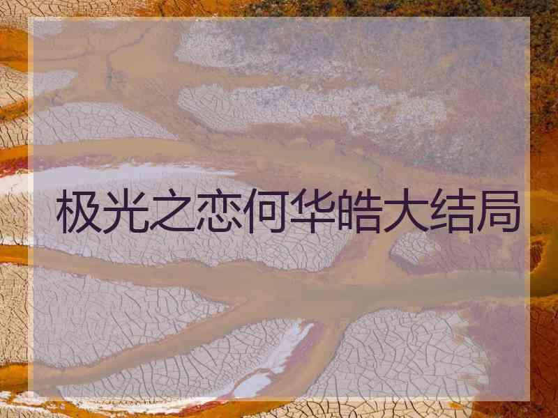 极光之恋何华皓大结局