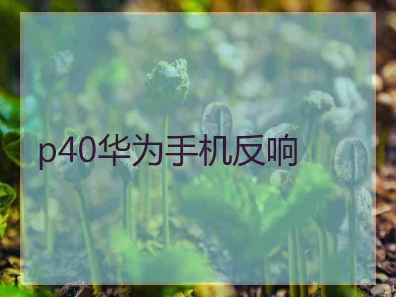 p40华为手机反响