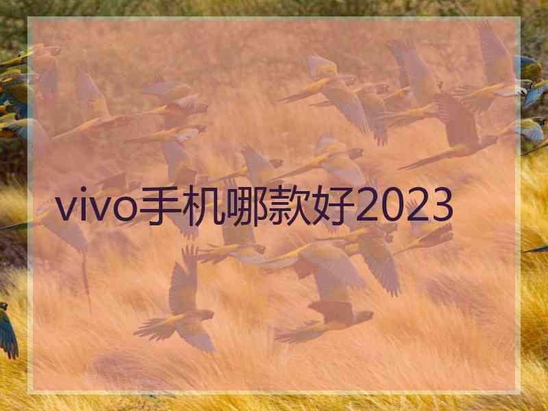 vivo手机哪款好2023